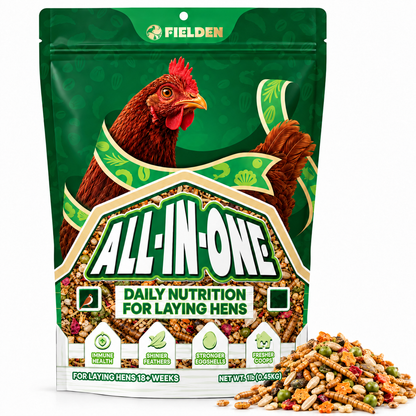 ALL-IN-ONE