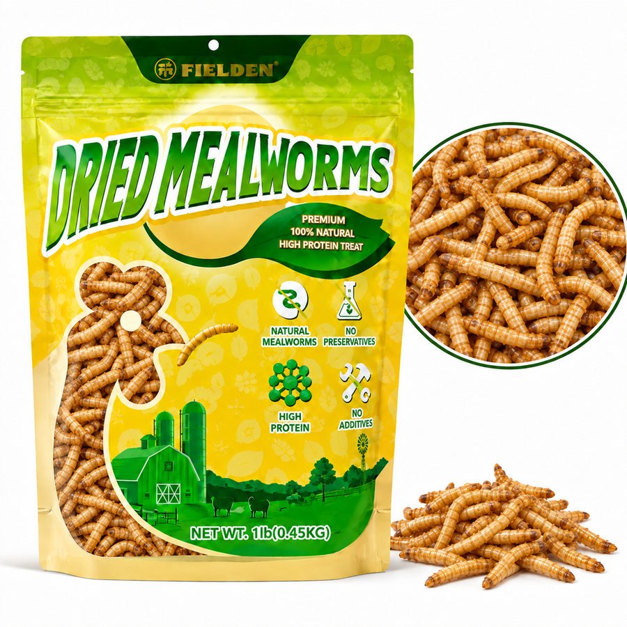 DRIED MEALWORMS