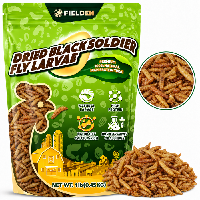 DRIED BLACK SOLDIER FLY LARVAE