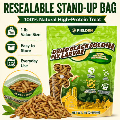 DRIED BLACK SOLDIER FLY LARVAE
